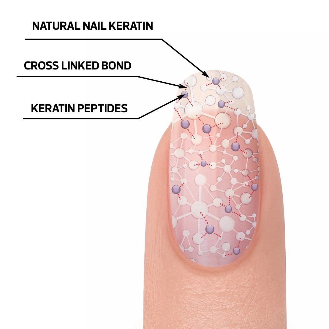 Keratin Nails in Vasna RoadVadodara  Best Beauty Parlours For Nail  Extension in Vadodara  Justdial